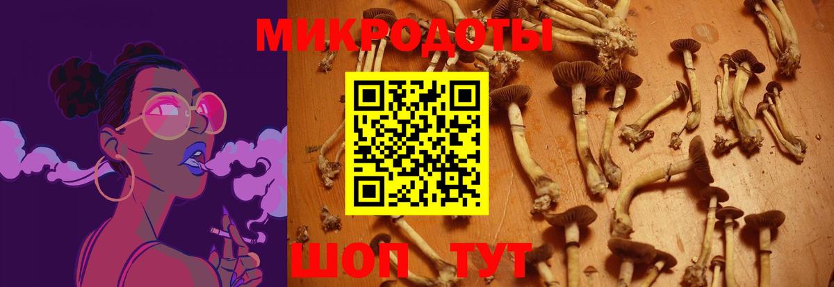 Галлюциногенные грибы MAGIC MUSHROOMS Азов